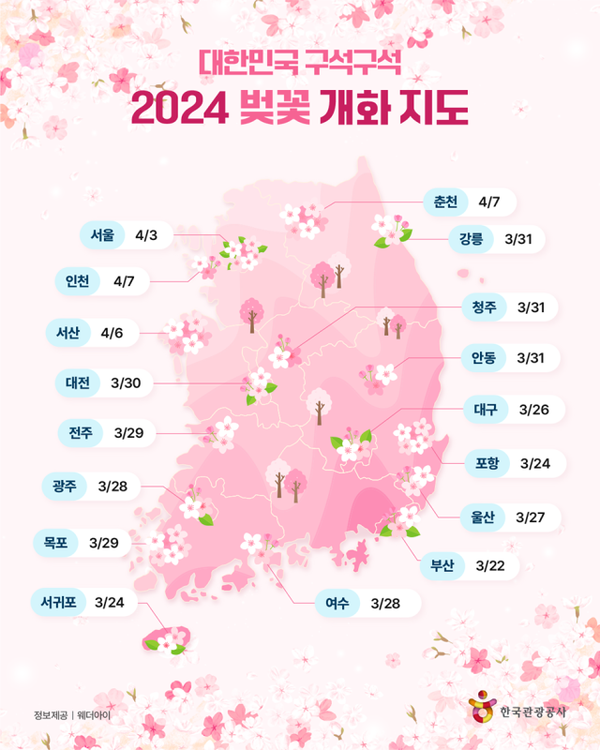 2024년 전국 벚꽃 개화 시기를 표시한 지도